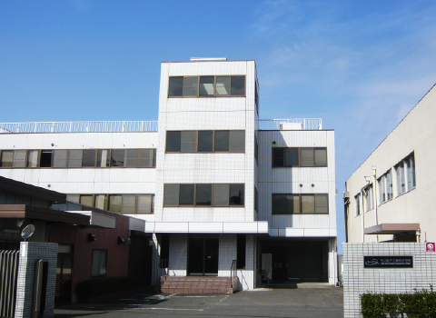 Head office