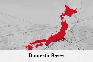 Domestic Bases